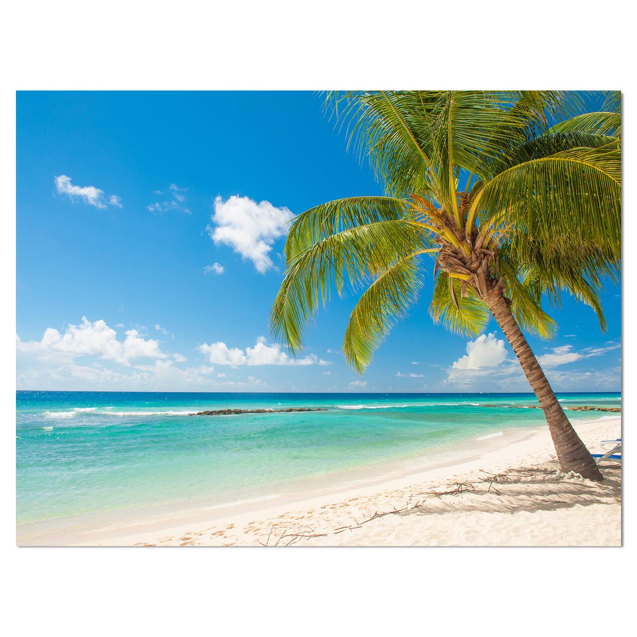 Designart - Palm tree over white sand - Landscapes Sea & Shore Photographic on wrapped Canvas